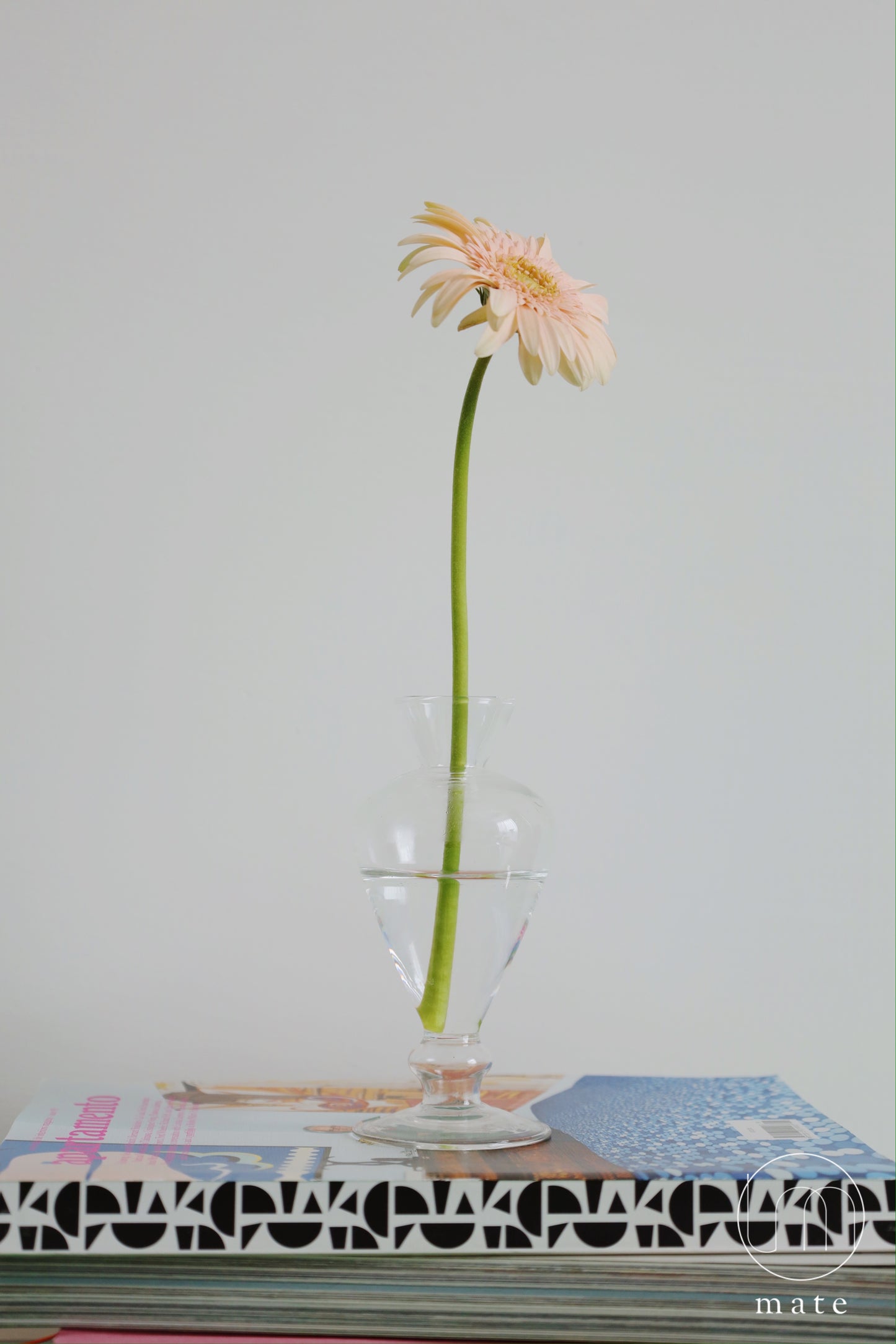 AMABRO 迷你透明花瓶